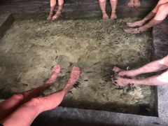 -明谷行馆·温泉