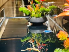 -璞御·海鲜·雪花牛肉局(宾水西道店)