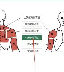 -归位瑜伽&归位普拉提
