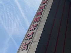 -武汉关码头(轮渡站)