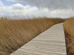 -野鸭湖国家湿地公园