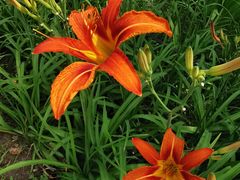 -永定河休闲森林公园