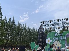 -黄海国家森林公园