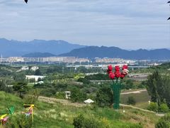 -密云玫瑰情园