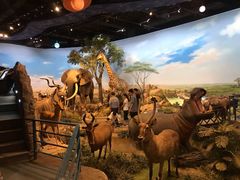 -陕西自然博物馆