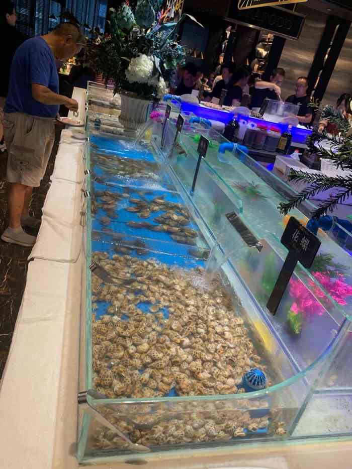 加餐海鲜自助(宝龙广场店)-"第二次来吃,对自己的食量实在是不敢恭维