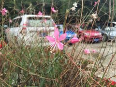 -凤来栖·净庭院·火锅(欧尚店)