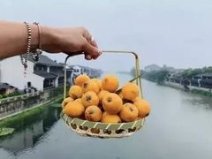 -塘栖枇杷特色园区