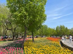 -长春公园(普阳街道)