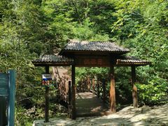-天女山森林公园