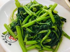 -新峰肉骨茶