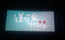 -哈妮儿童摄影(德清店)