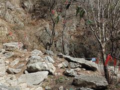 -泰山风景名胜区