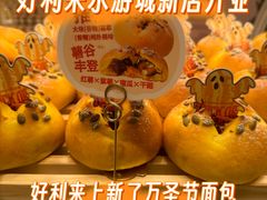 -鹏欣水游城