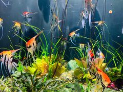 -成都浩海立方海洋公园