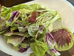 -菌乡缘·野生菌蒸汽鱼火锅(江边夜市店)