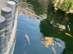 -千滋百味·醉江澜花园餐厅(街道口店)