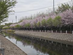 -大望京公园