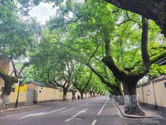 -颐和路民国时期公馆风貌区