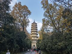 -灵谷景区