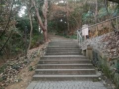 -苏州上方山国家森林公园