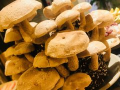活体菌菇-蜀大侠火锅(四川北路店)