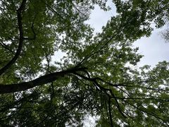 -狼山风景名胜区