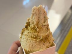 -野人先生现做冰淇淋(北京王府井东方新天地店)