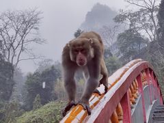-广西龙虎山风景区
