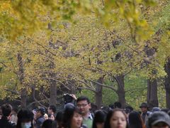 -辽宁大学(崇山校区)