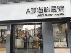 -御宝贝·A梦猫科宠物医院(国际猫友好医院)