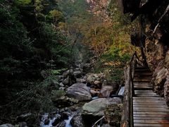 -祁门牯牛降观音堂风景区