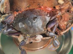 -龙香居海鲜浑锅家常菜·特色驴肉
