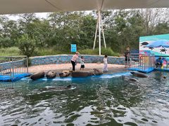 -北戴河圣蓝海洋公园