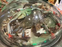 -海天盛宴潮汕蒸汽海鲜高端自助形象店