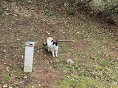 -六鼎山文化旅游区