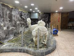 -上海大自然野生昆虫馆(东方明珠·爬宠昆虫探索中心)