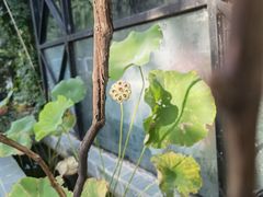 -La Medina餐厅(亮马河南路店)