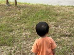 -盐城丹顶鹤湿地生态旅游区