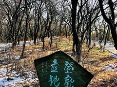-高尔山公园