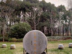 -昆山城市生态森林公园