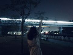 -宝安西湾红树林湿地公园