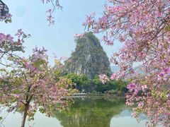 -星湖旅游景区七星岩