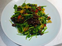 香菜牛肉-广东道至正餐厅(区庄店)