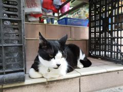 -大澳渔村及棚屋
