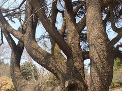 -青岛德国总督楼旧址博物馆
