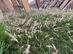 -中国天府农业博览园