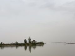 -哈素海