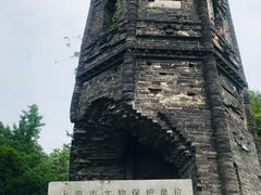 -上海佘山国家森林公园天马山园