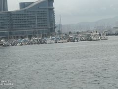 -日照灯塔风景区